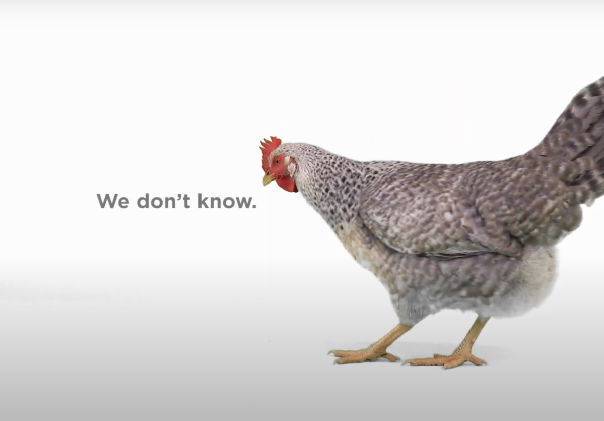 تبلیغ جدید سوپر PAC طرفدار هیلی ترامپ را "مرغ" می خواند