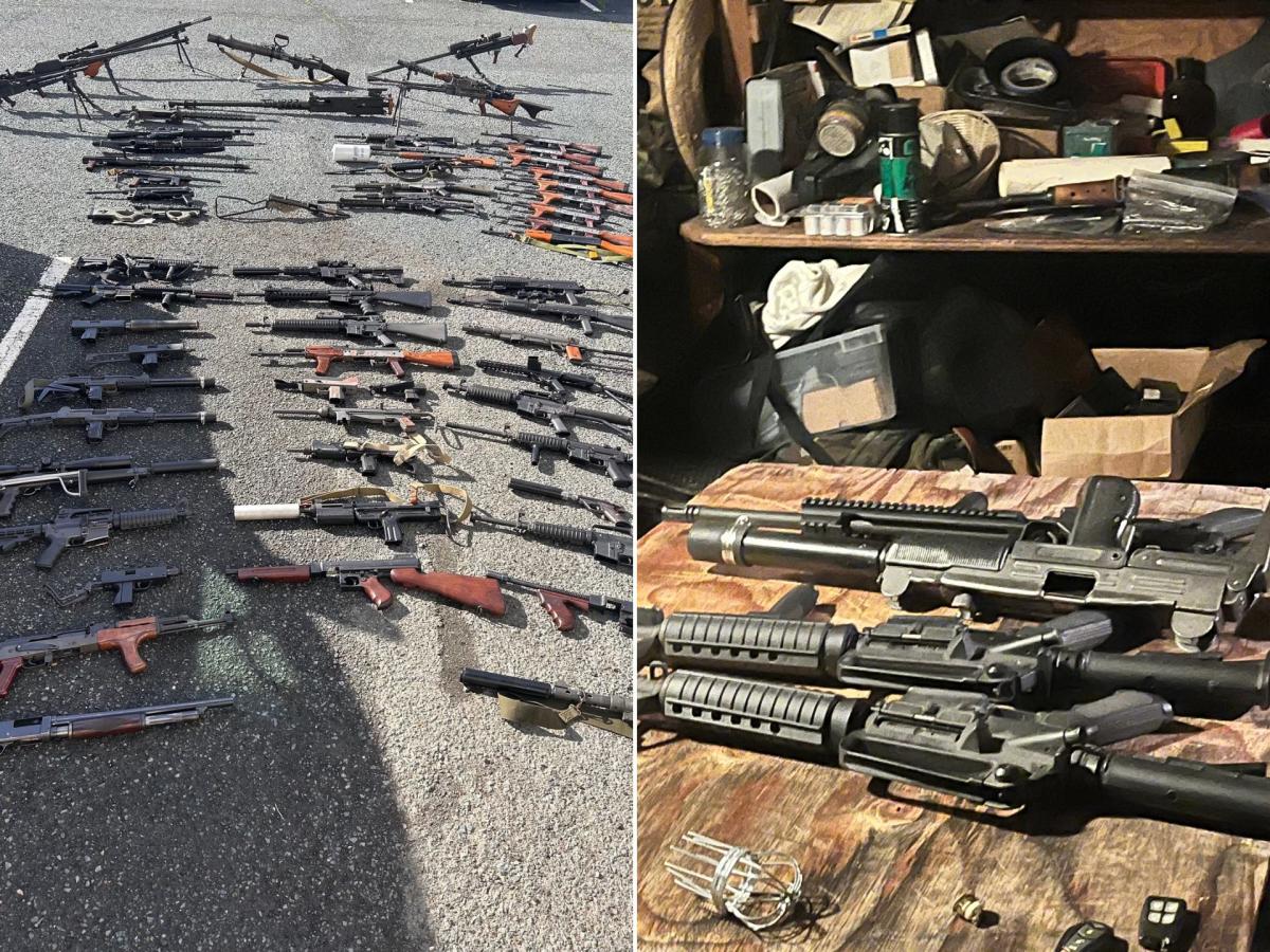 مقامات ایالتی می گویند یک مرد کالیفرنیایی با 1 میلیون گلوله مهمات و 248 اسلحه غیرقانونی در خانه اش پیدا شد.